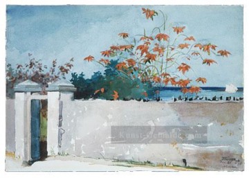  homer - Eine Wand nassau Winslow Homer Aquarelle